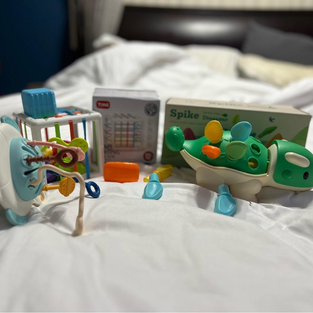 Toddler / baby developmental toys Montessori toys
